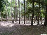 Junghas Park - BAYAMÓN